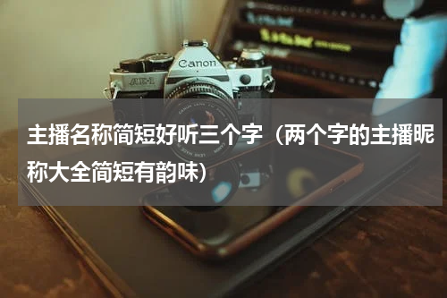 主播名称简短好听三个字（两个字的主播昵称大全简短有韵味）