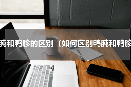 鸭肫和鸭胗的区别（如何区别鸭肫和鸭胗）