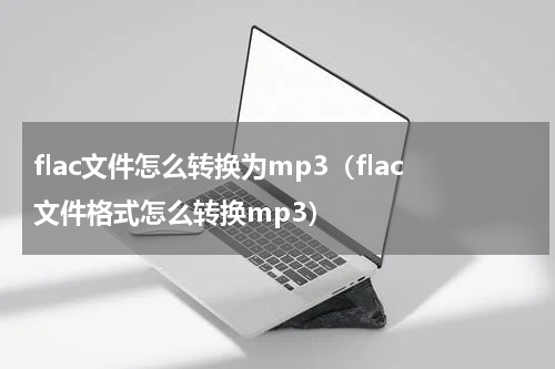 flac文件怎么转换为mp3（flac文件格式怎么转换mp3）