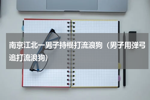 南京江北一男子持棍打流浪狗（男子用弹弓追打流浪狗）