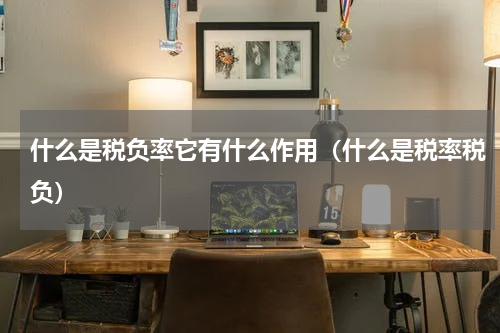 什么是税负率它有什么作用（什么是税率税负）