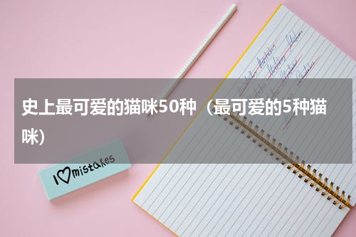史上最可爱的猫咪50种（最可爱的5种猫咪）