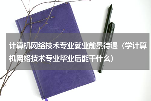计算机网络技术专业就业前景待遇（学计算机网络技术专业毕业后能干什么）