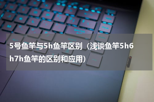 5号鱼竿与5h鱼竿区别（浅谈鱼竿5h6h7h鱼竿的区别和应用）