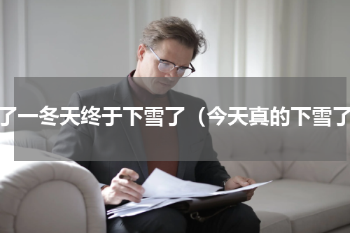 等了一冬天终于下雪了（今天真的下雪了）