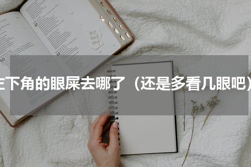 左下角的眼屎去哪了（还是多看几眼吧）
