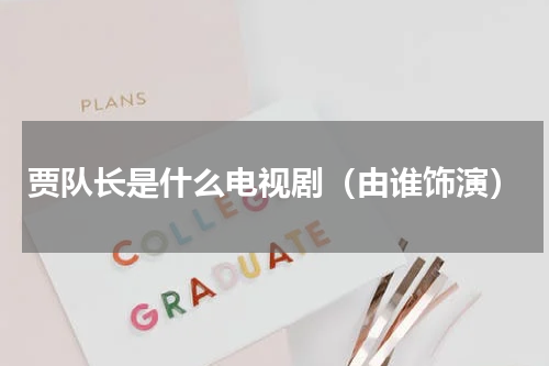 贾队长是什么电视剧（由谁饰演）