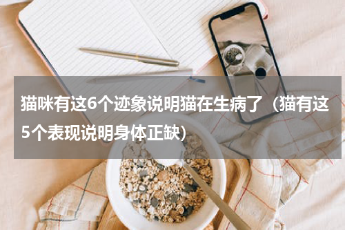 猫咪有这6个迹象说明猫在生病了（猫有这5个表现说明身体正缺）