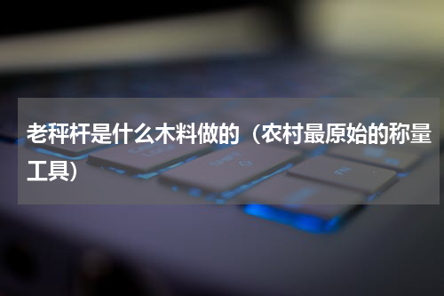 老秤杆是什么木料做的（农村最原始的称量工具）