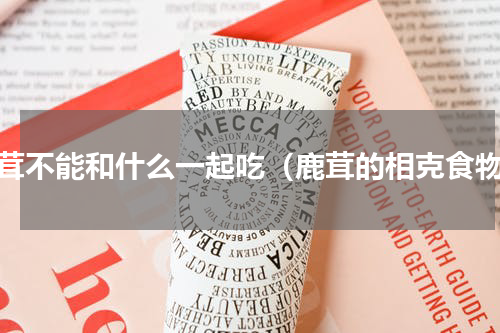 鹿茸不能和什么一起吃（鹿茸的相克食物）