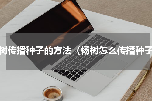 杨树传播种子的方法（杨树怎么传播种子）