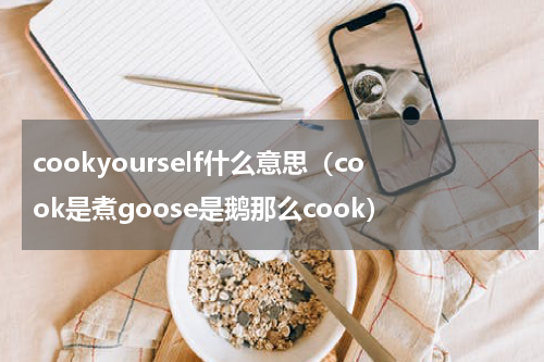 cookyourself什么意思（cook是煮goose是鹅那么cook）