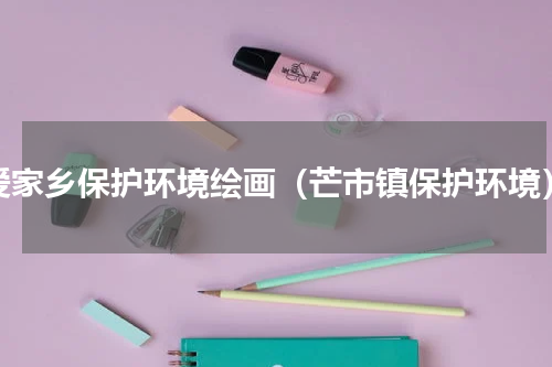 爱家乡保护环境绘画（芒市镇保护环境）