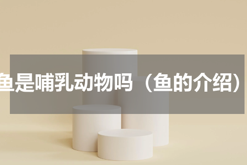 鱼是哺乳动物吗（鱼的介绍）