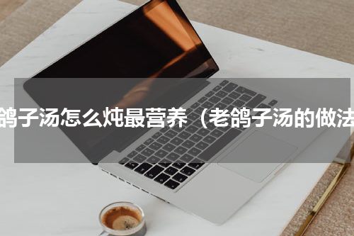 老鸽子汤怎么炖最营养（老鸽子汤的做法）