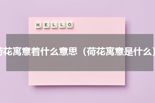 荷花寓意着什么意思（荷花寓意是什么）