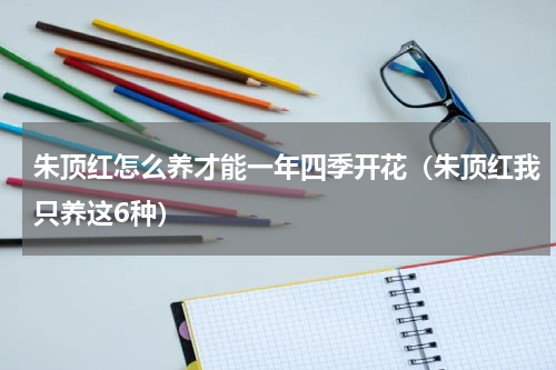 朱顶红怎么养才能一年四季开花（朱顶红我只养这6种）