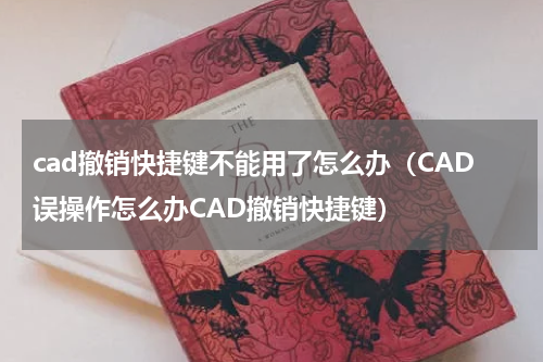 cad撤销快捷键不能用了怎么办（CAD误操作怎么办CAD撤销快捷键）