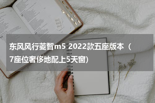 东风风行菱智m5 2022款五座版本（7座位奢侈地配上5天窗）