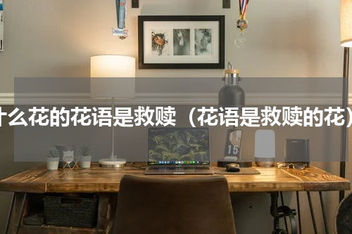 什么花的花语是救赎（花语是救赎的花）
