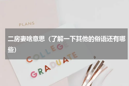 二房妻啥意思（了解一下其他的俗语还有哪些）