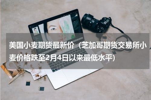 美国小麦期货最新价（芝加哥期货交易所小麦价格跌至2月4日以来最低水平）