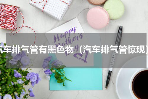 汽车排气管有黑色物（汽车排气管惊现）