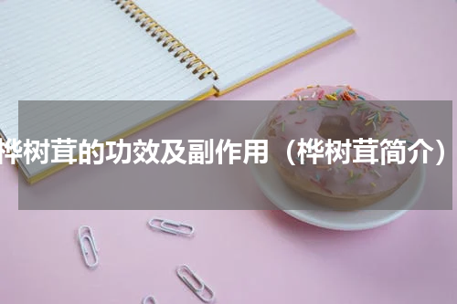 桦树茸的功效及副作用（桦树茸简介）