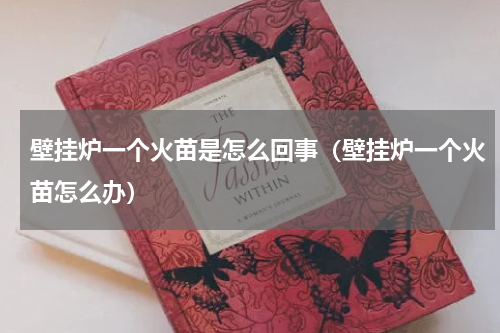 壁挂炉一个火苗是怎么回事（壁挂炉一个火苗怎么办）