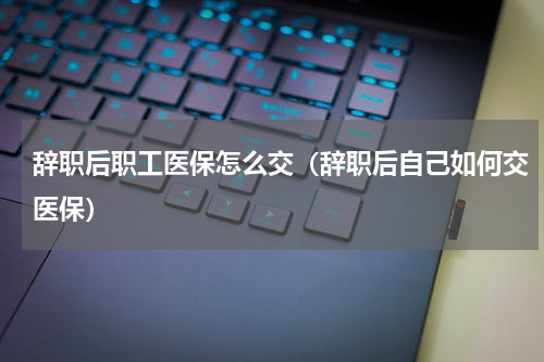 辞职后职工医保怎么交（辞职后自己如何交医保）