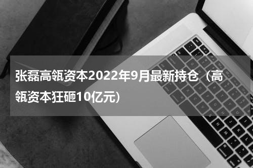张磊高瓴资本2022年9月最新持仓（高瓴资本狂砸10亿元）
