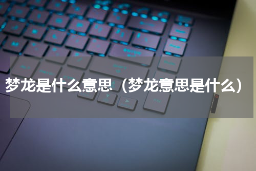 梦龙是什么意思（梦龙意思是什么）