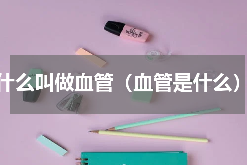 什么叫做血管（血管是什么）