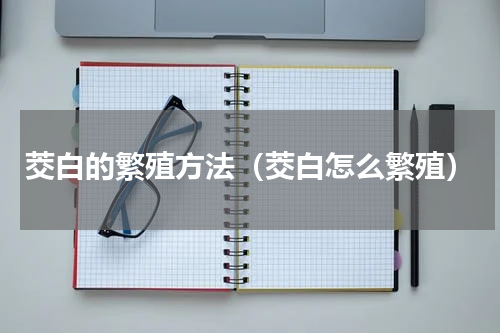 茭白的繁殖方法（茭白怎么繁殖）