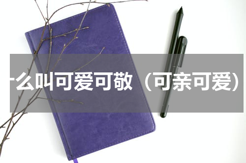 什么叫可爱可敬（可亲可爱）