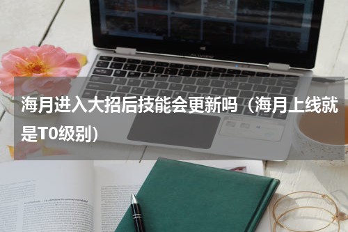 海月进入大招后技能会更新吗（海月上线就是T0级别）