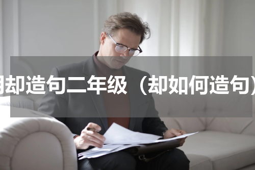 用却造句二年级（却如何造句）