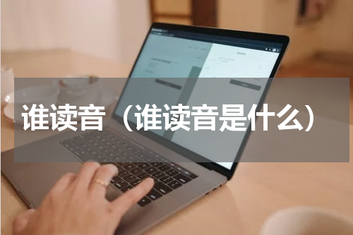 谁读音（谁读音是什么）