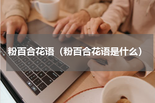 粉百合花语（粉百合花语是什么）