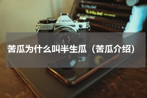 苦瓜为什么叫半生瓜（苦瓜介绍）