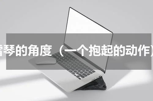 雪琴的角度（一个抱起的动作）