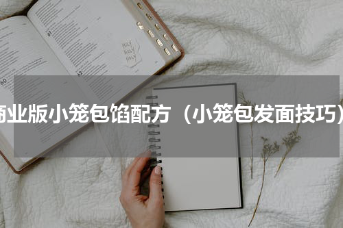 商业版小笼包馅配方（小笼包发面技巧）