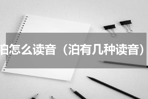 泊怎么读音（泊有几种读音）
