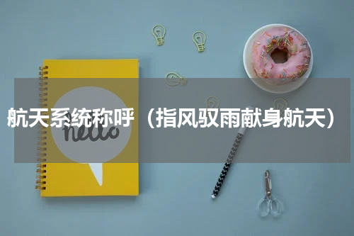 航天系统称呼（指风驭雨献身航天）
