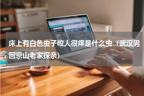 床上有白色虫子咬人很痒是什么虫（武汉男回京山老家探亲）