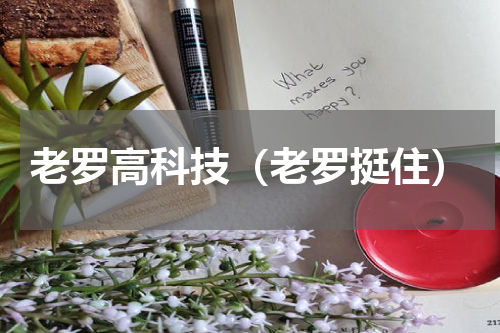 老罗高科技（老罗挺住）