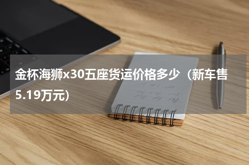 金杯海狮x30五座货运价格多少（新车售5.19万元）