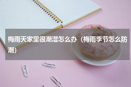 梅雨天家里很潮湿怎么办（梅雨季节怎么防潮）