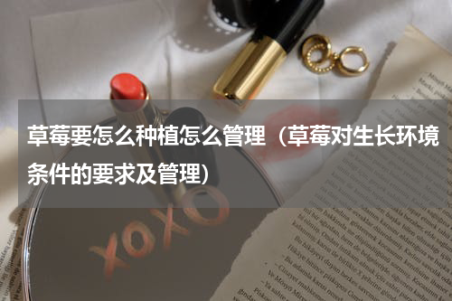 草莓要怎么种植怎么管理（草莓对生长环境条件的要求及管理）