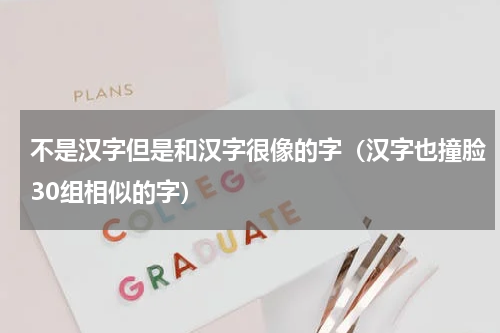 不是汉字但是和汉字很像的字（汉字也撞脸30组相似的字）